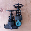 DIN Standard Forged Carbon Steel A105 Butt Welding Globe Valve